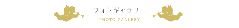フォトギャラリー
